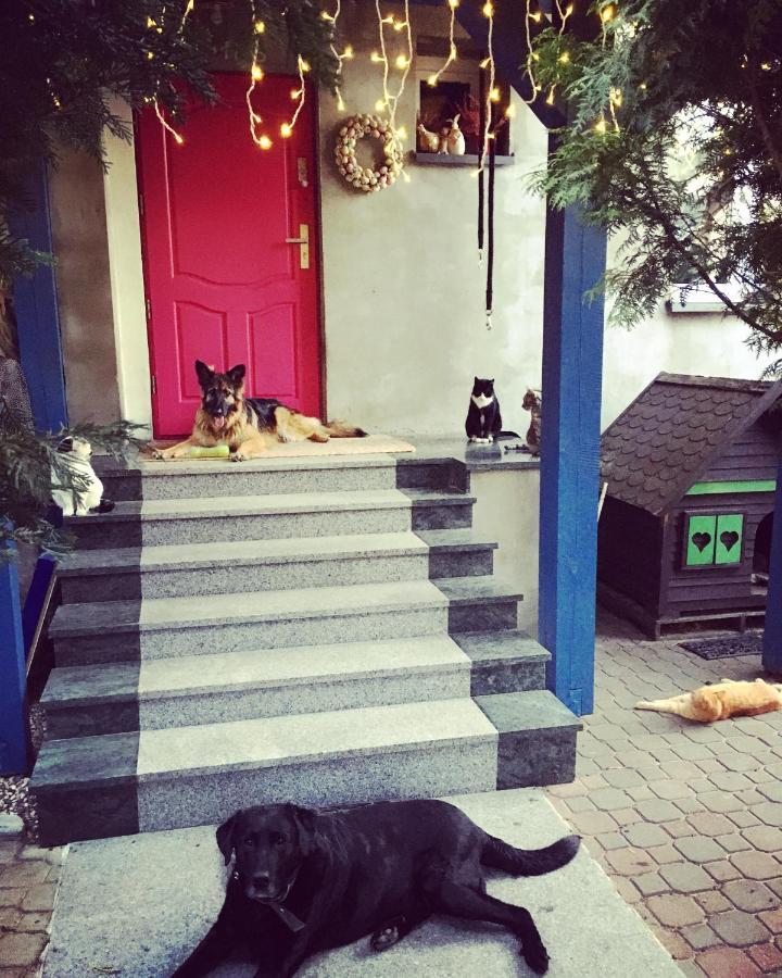 Cat Stone Villa Pisz Exterior foto
