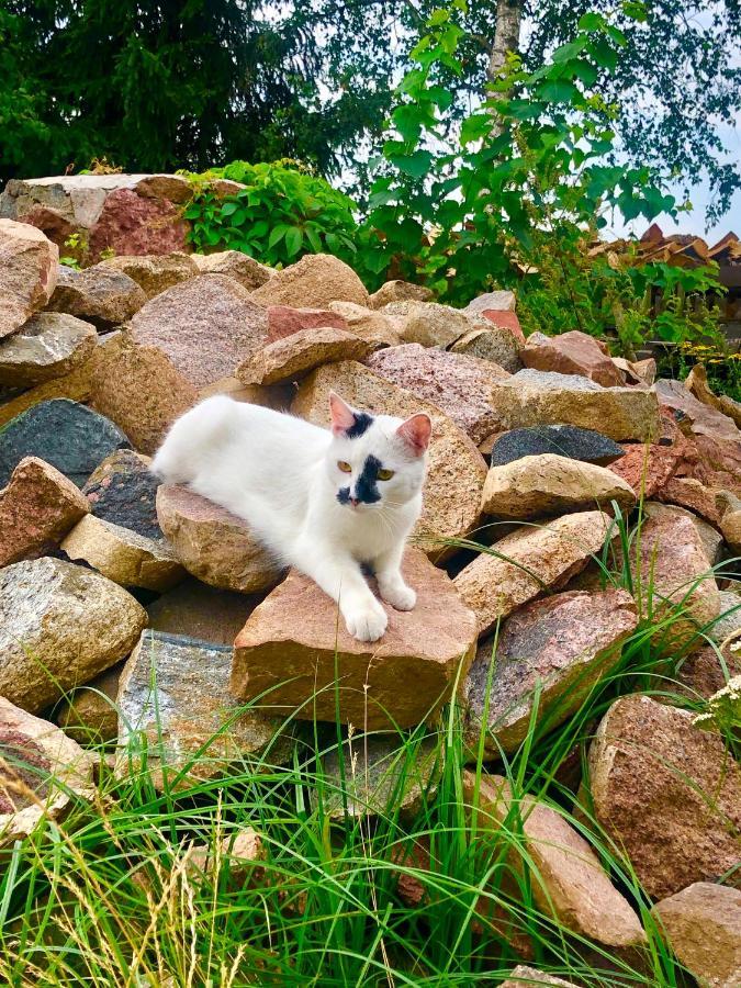 Cat Stone Villa Pisz Exterior foto