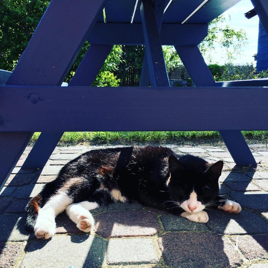 Cat Stone Villa Pisz Exterior foto